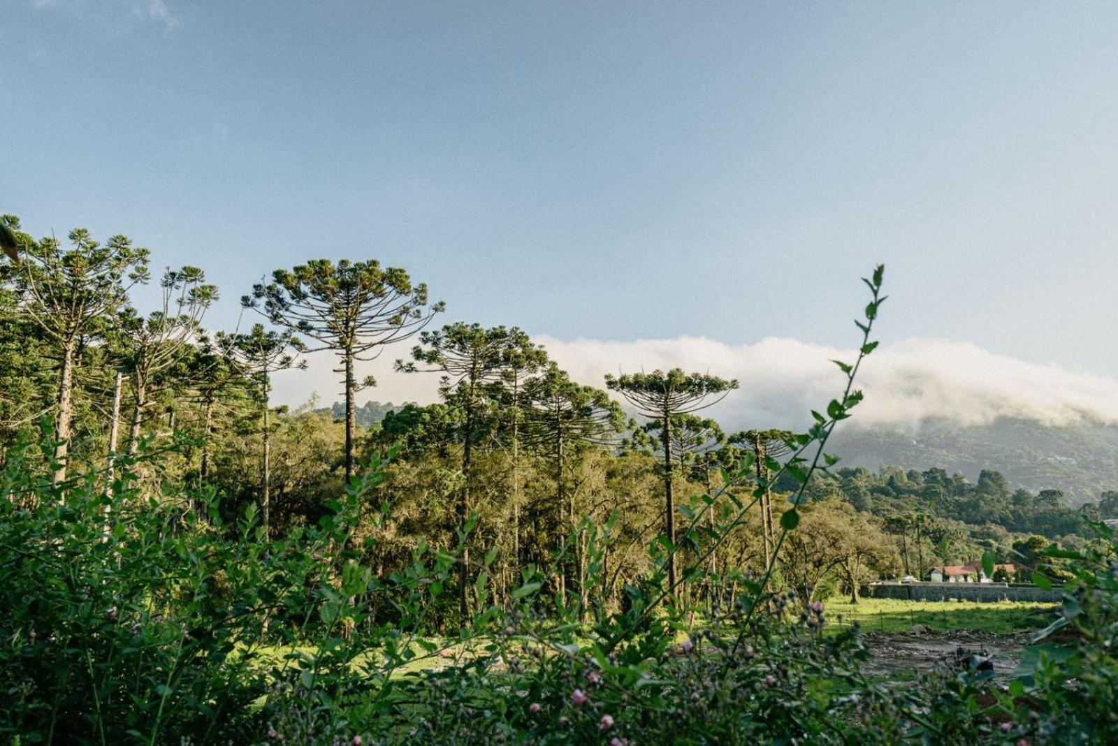 Flores Da Mantiqueira Monte Verde  Zewnętrze zdjęcie
